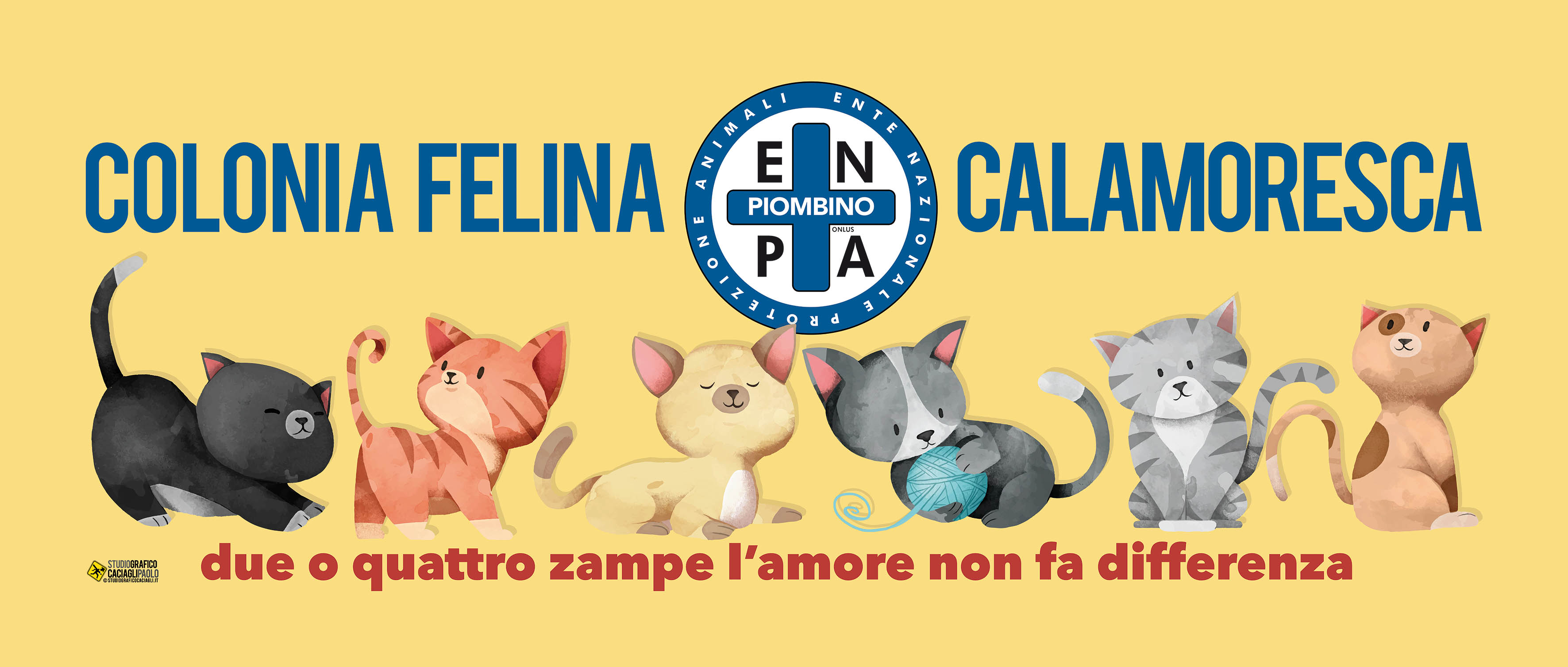 Colonia Felina Enpa Calamoresca Piombino