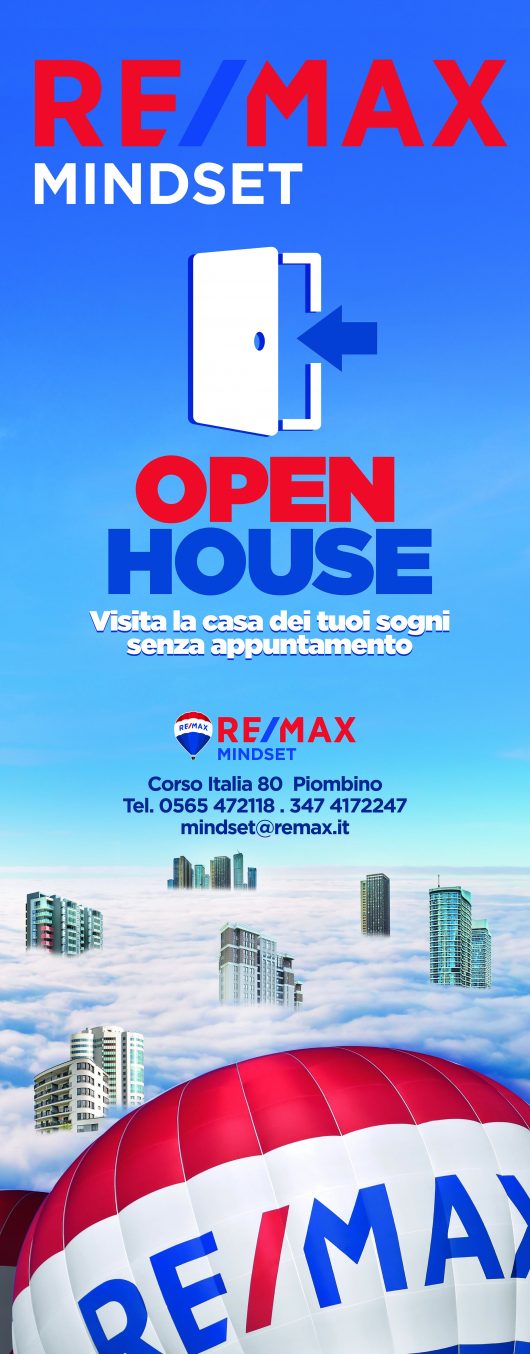 Remax Mindset