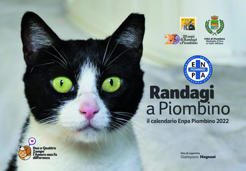 Randagi a Piombino 2021