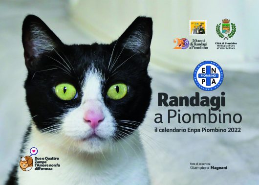 Randagi a Piombino 2021